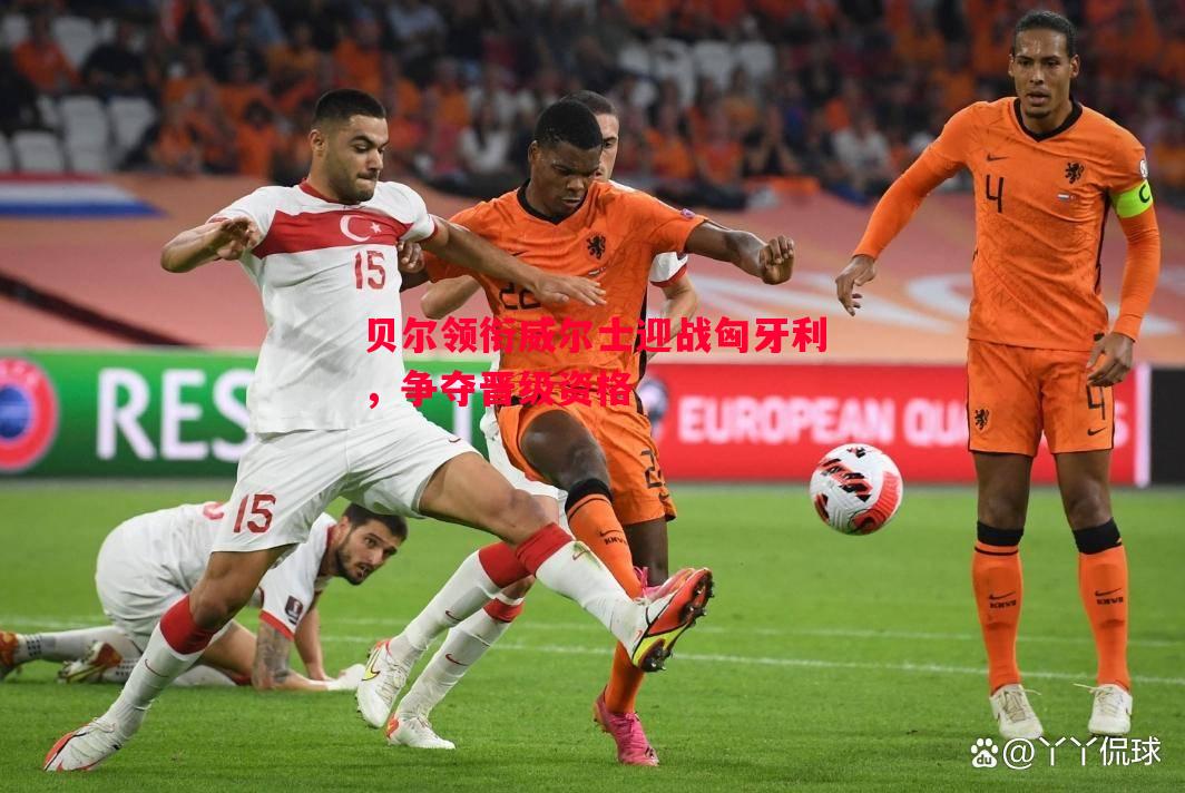 贝尔领衔威尔士迎战匈牙利,争夺晋级资格 贝尔领衔威尔士迎战匈牙利,争夺晋级资格
