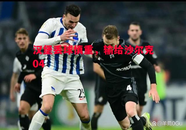 汉堡丢球慎重,输给沙尔克04 汉堡丢球慎重,输给沙尔克04