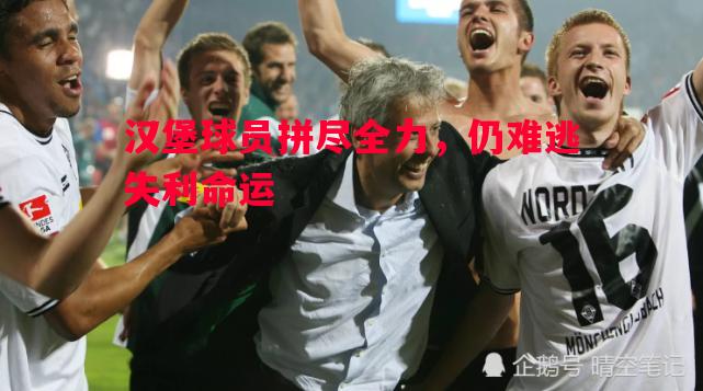 汉堡球员拼尽全力,仍难逃失利命运 汉堡球员拼尽全力,仍难逃失利命运