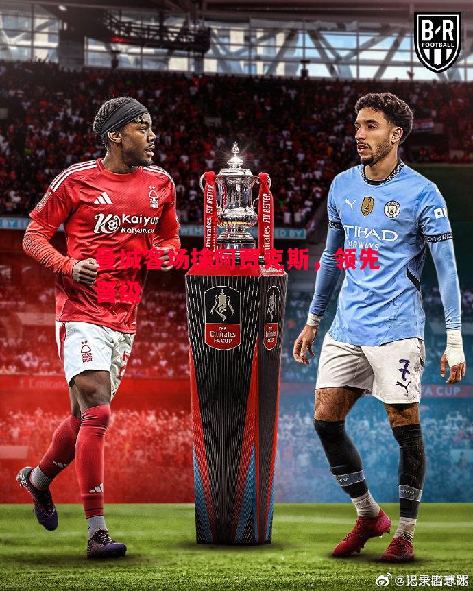 曼城客场擒阿贾克斯,领先晋级 曼城客场擒阿贾克斯,领先晋级