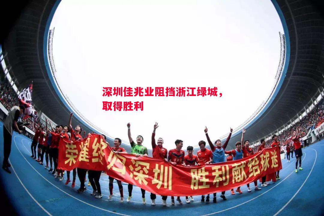 深圳佳兆业阻挡浙江绿城，取得胜利