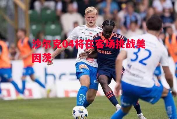 沙尔克04将在客场挑战美因茨 沙尔克04将在客场挑战美因茨