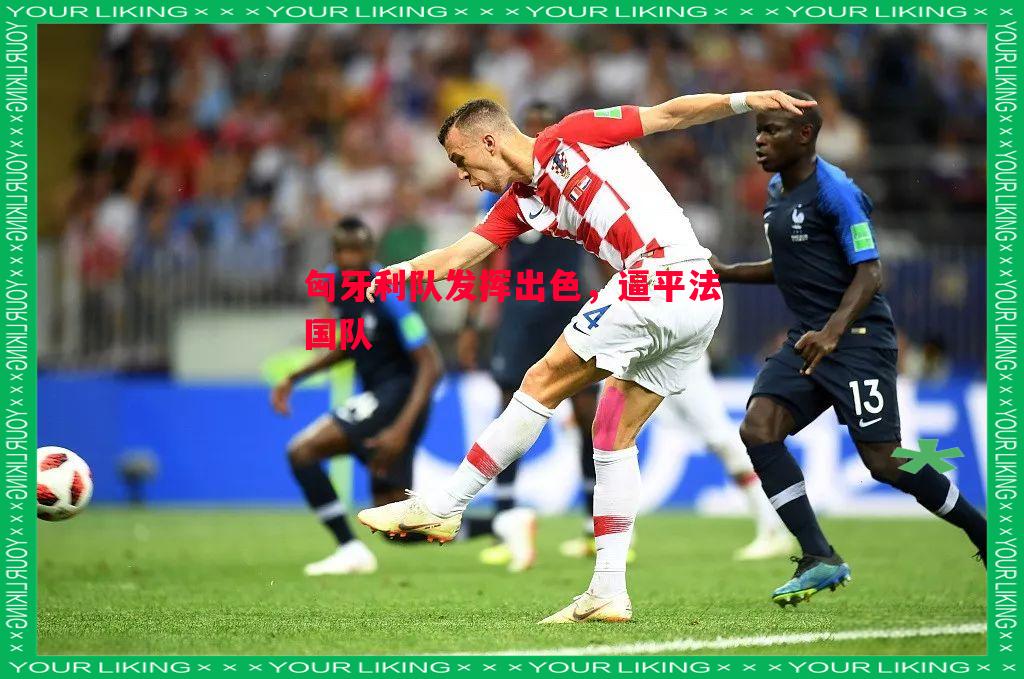 匈牙利队发挥出色,逼平法国队 匈牙利队发挥出色,逼平法国队