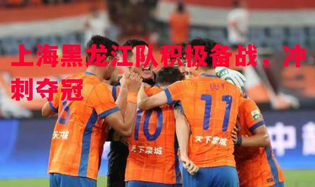 上海黑龙江队积极备战,冲刺夺冠 上海黑龙江队积极备战,冲刺夺冠