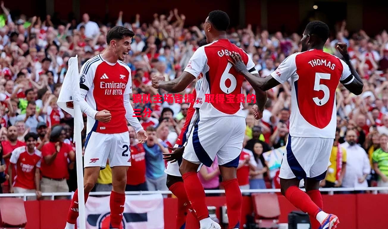 狼队主场告捷,取得宝贵的三分 狼队主场告捷,取得宝贵的三分