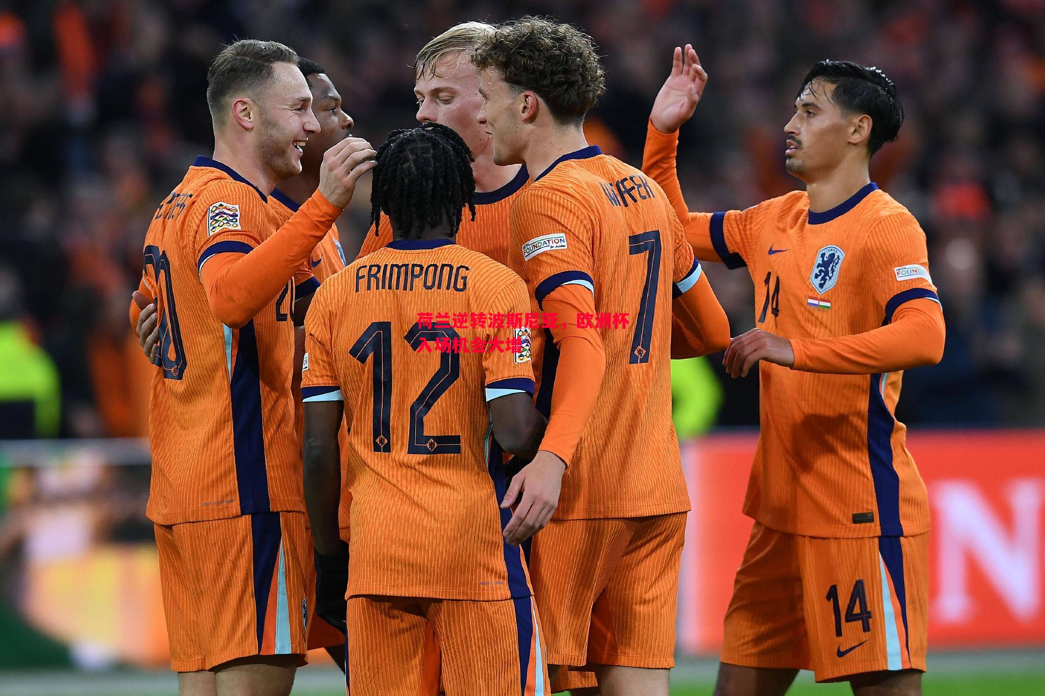 荷兰逆转波斯尼亚,欧洲杯入场机会大增 荷兰逆转波斯尼亚,欧洲杯入场机会大增